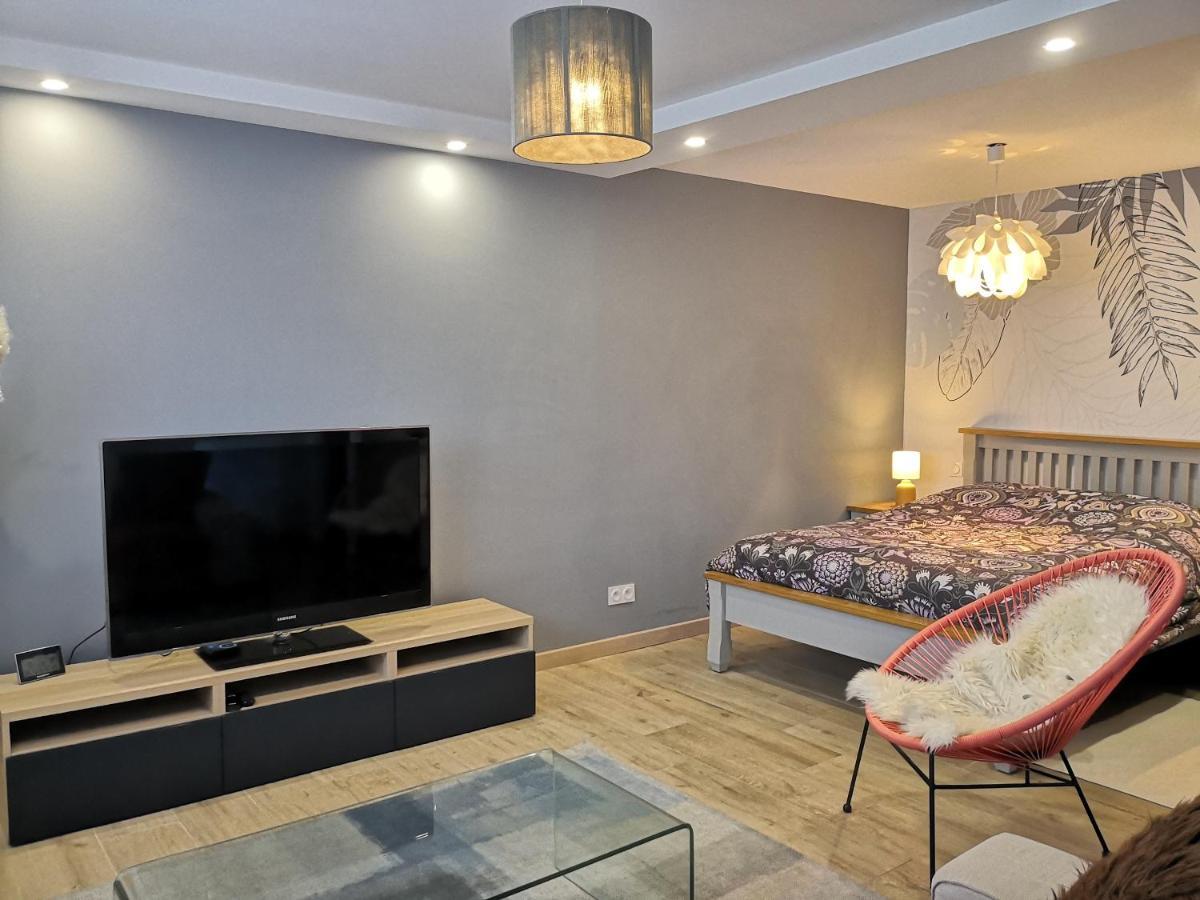 Petit Paradis Cosy T1 Bis 40M2 Independent Studio En Maison Avec Jardin & Parking Gratuit Caluire-et-Cuire Εξωτερικό φωτογραφία